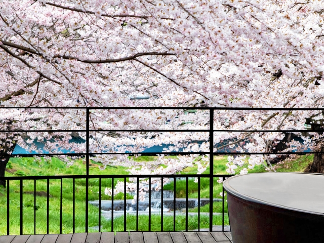桜と温泉イメージ