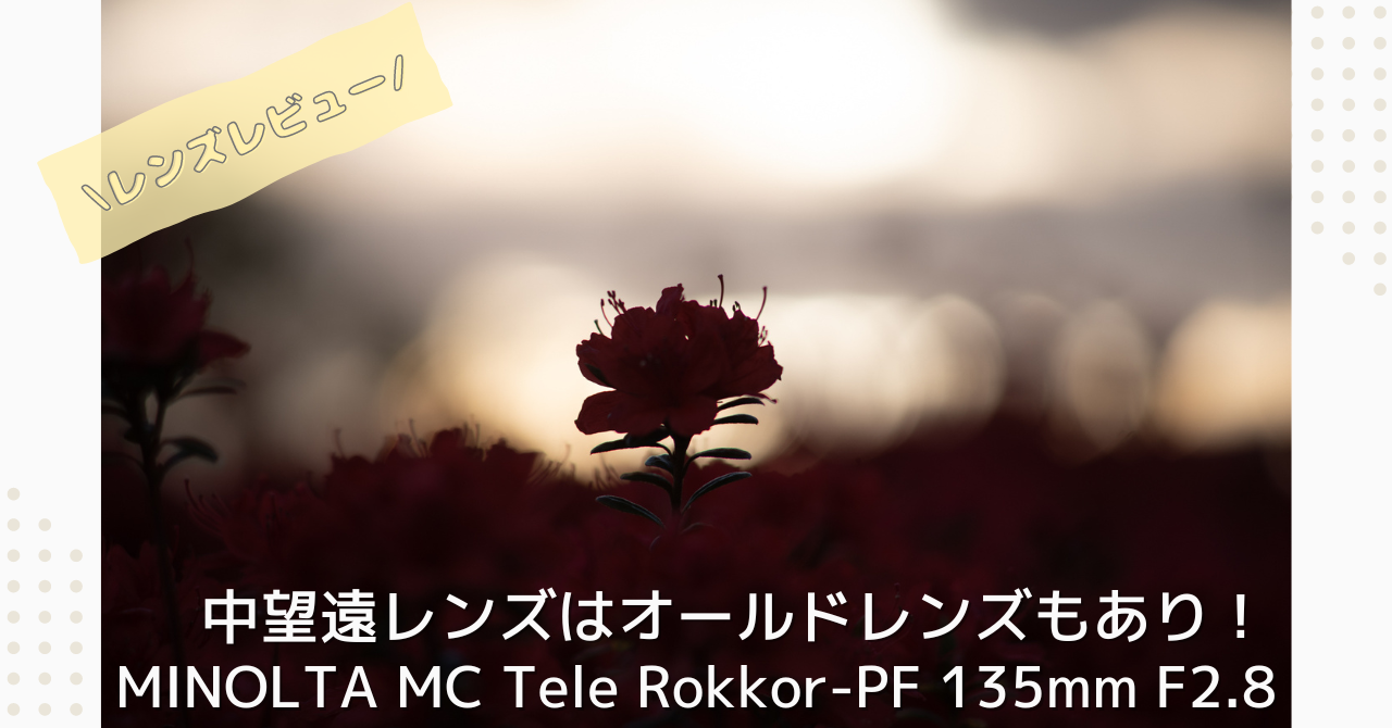 MINOLTA MC Tele Rokkor-PF 135mm F2.8レビュー！おすすめの安い中望遠